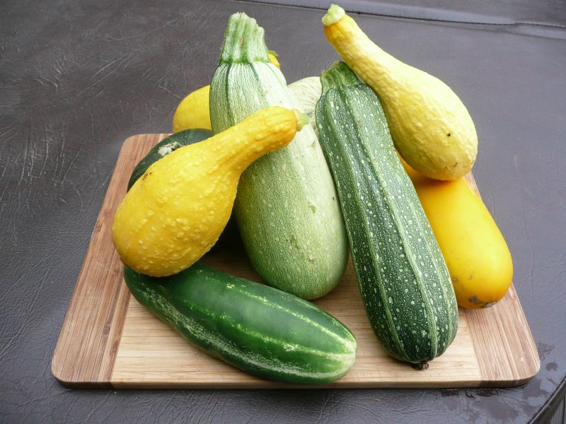 Benefici delle Zucchine: un tesoro nutrizionale e culinario per la tua  salute – Natural Mania