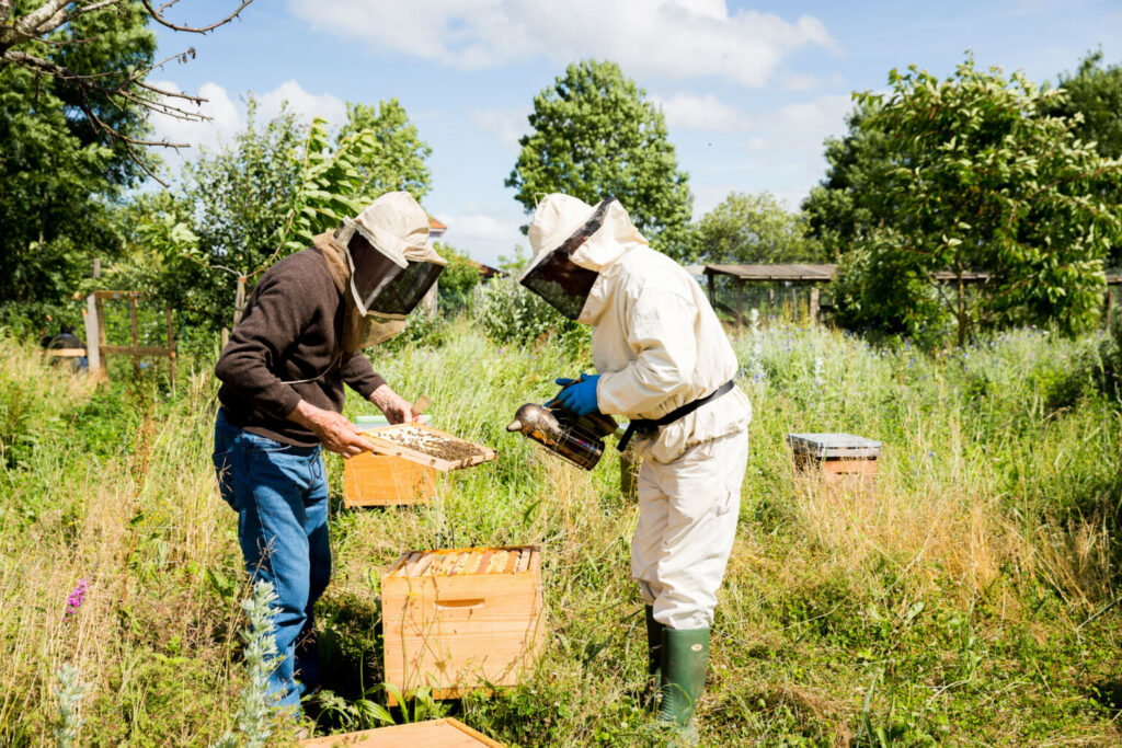 api e agroecologia