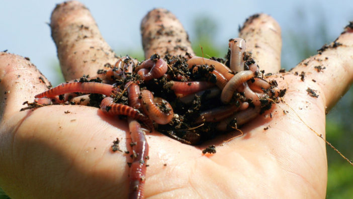 compost a casa