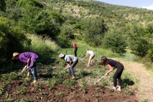 Agroecologia. Preservare il suolo